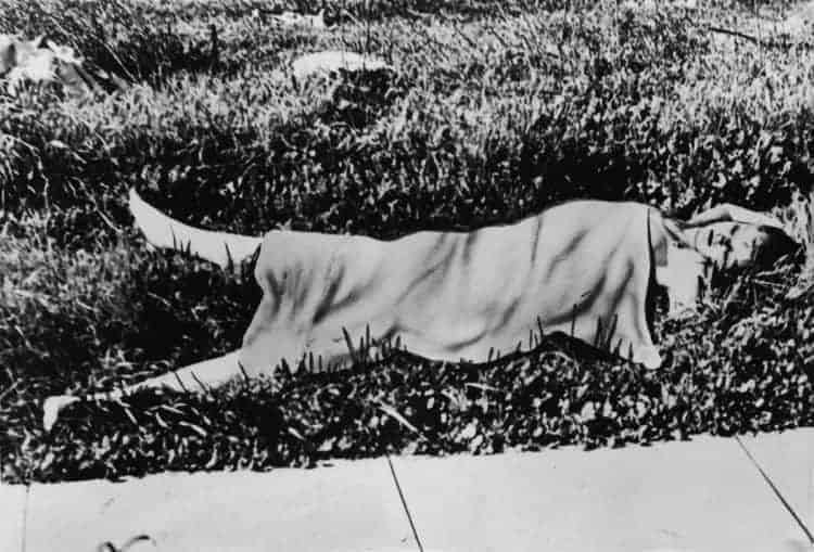 Murder in Hollywood: Who Killed the Black Dahlia?