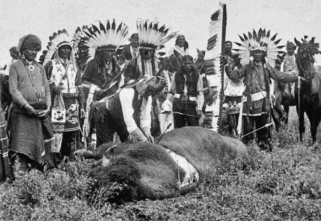 Сколько америка уничтожила индейцев. Истребление бизонов в Северной Америке. Гора черепов бизонов 1870. Гора черепов бизонов в Америке. Бизоны истребление в Америке.