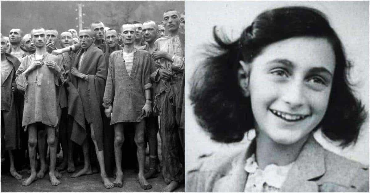 Dawn Breaks Night: 10 Stories of Survival During the Holocaust