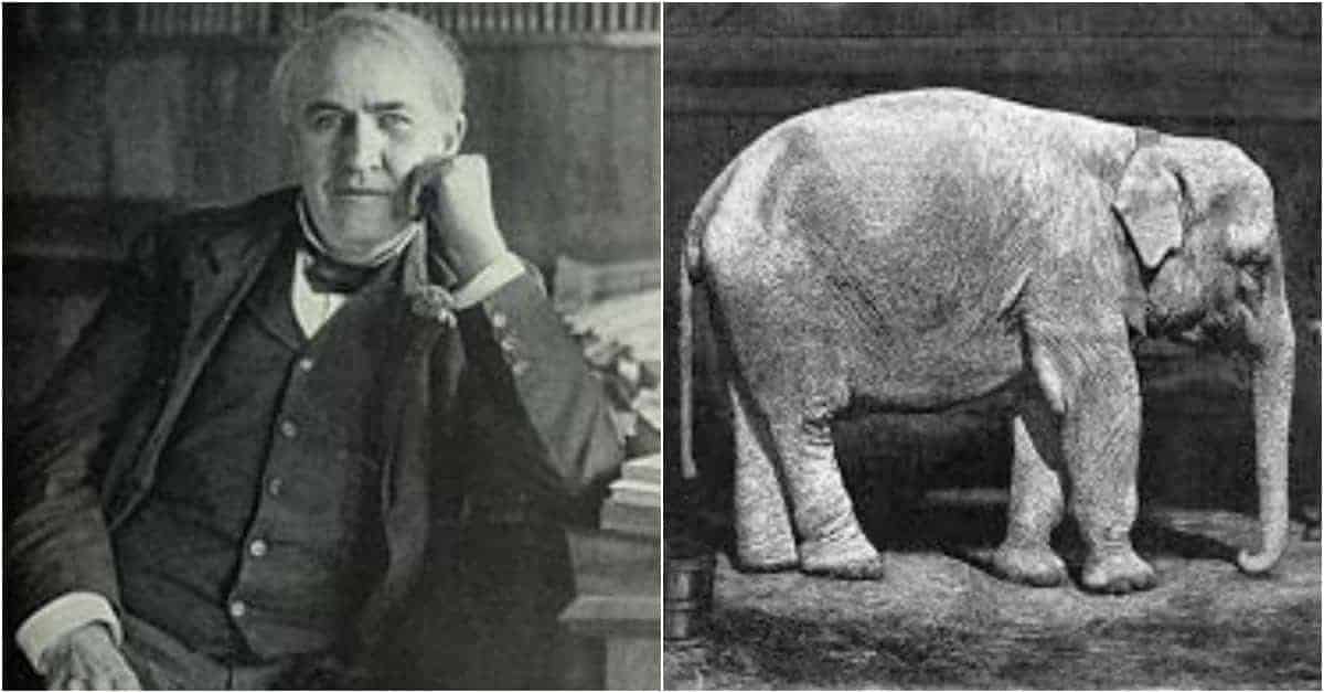 Contrary to Popular Belief, This Famous Inventor Didn’t Electrocute Topsy the Elephant