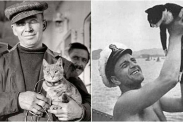 9 Lives: The Tale of Unsinkable Sam and 9 Other Cats that Sailed the High Seas
