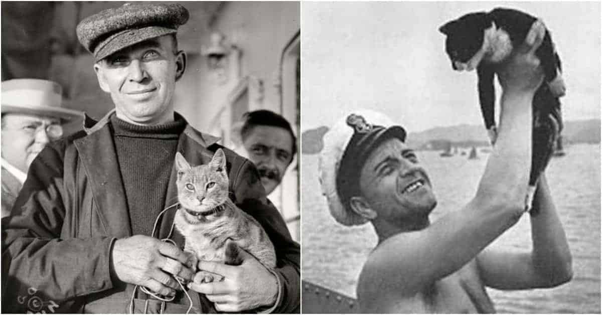 9 Lives: The Tale of Unsinkable Sam and 9 Other Cats that Sailed the High Seas