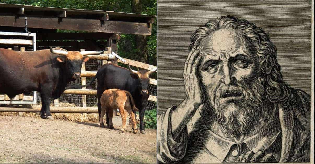 Don’t Miss Nazi Super Cows and Deadly Bulls**t in This List of Top 10 Overlooked Historic Oddities