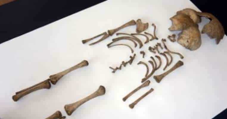 Infant Dump Site from Roman Britain Raises More Questions Than Answers