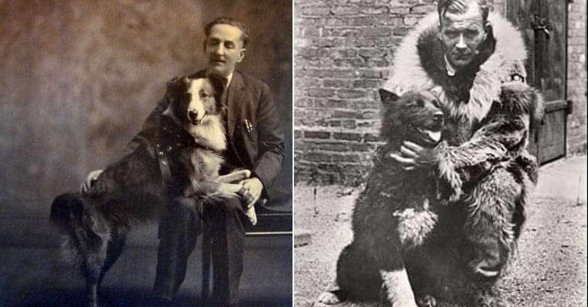 10 Dogs Who Changed the Course of History for Man and Beast Alike
