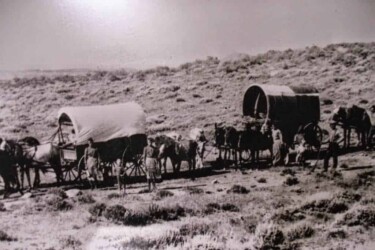 Pioneer life here was hard on women and animals