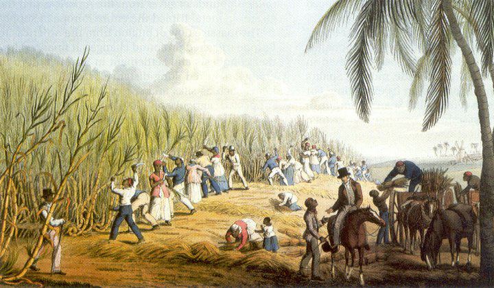 The Bloody History of the Haitian Revolution in 10 Events