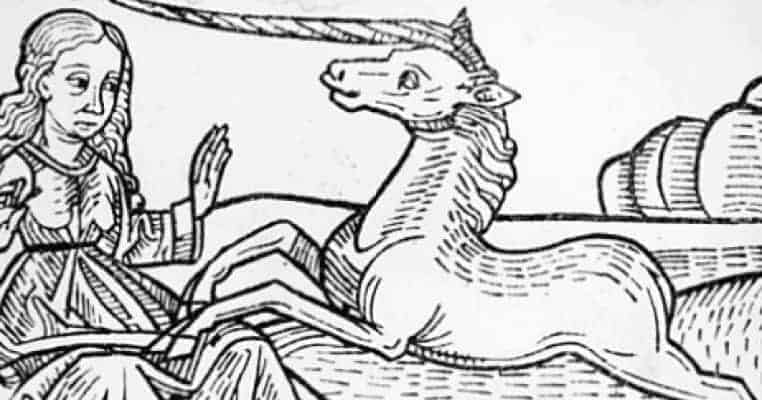 The Fantastic True History of Unicorns