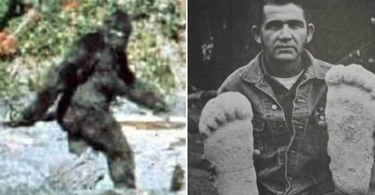 The Hairy History of Bigfoot in 20 Intriguing Events