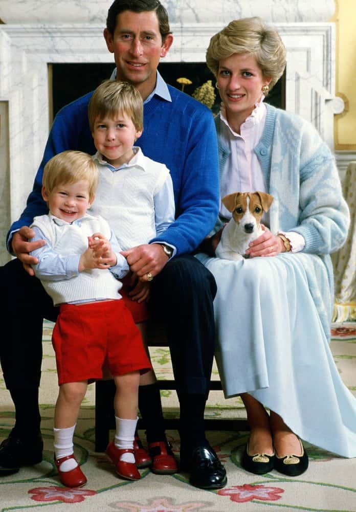 Why Did Prince Charles And Princess Diana Divorce Each Other?