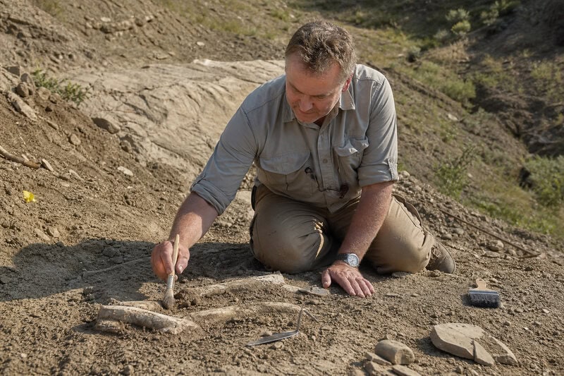 A paleontologist documents a dinosaur bone in the field