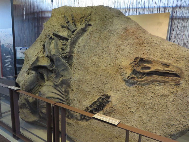 Dinosaur National Monument