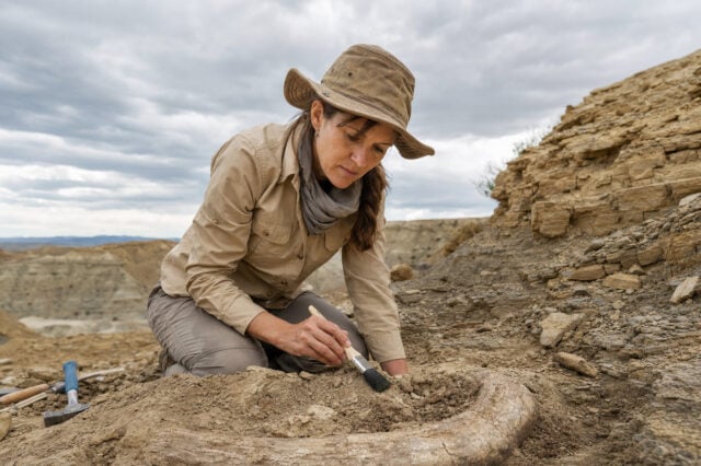 Utah Geologists Excavate What May Be North America’s Oldest Cretaceous Bonebed
